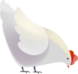 White chicken graphic